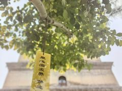 -大慈恩寺(大雁塔)