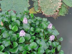 -东钱湖旅游度假区