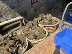 -濠轩阁特色生蚝火锅总店