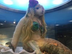 -成都泰迪熊博物馆