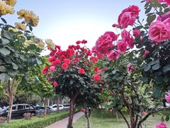 -河南省黄河迎宾馆