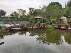 -成飞公园