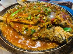 石锅焗黄鱼-川知味(京华城店)