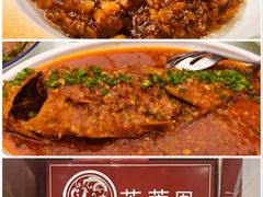 -邓氏兔头