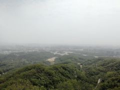 -大屏嶂森林公园