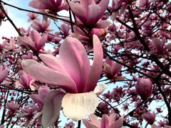 -重庆中央公园(渝北区)