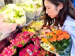 -溪岸路花鸟市场