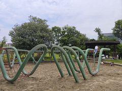 -桂溪生态公园