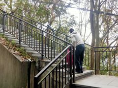 -紫金山山顶公园