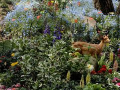 -上海共青森林公园