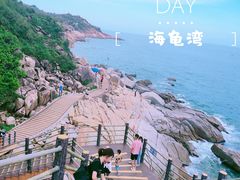 -广东惠东海龟国家级自然保护区