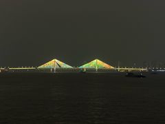 -武汉两江游览·夜游长江(汉口粤汉码头)
