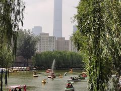 -团结湖公园