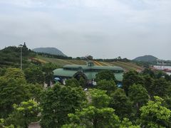东部华侨城瀑布酒店-深圳东部华侨城瀑布酒店