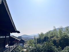 -大唐贡茶院