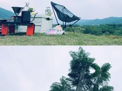 -广州市流溪河国家森林公园