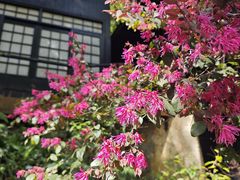 -凤栖山