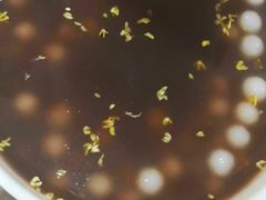 -随柳居·苏式小吃(建新巷店)