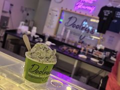 -Dooley's Premium Ice Cream