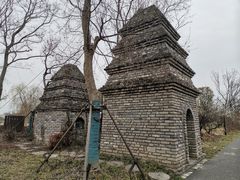 -广富林郊野公园