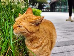 -CUBIC3三立方咖啡(凌空SOHO店)