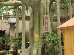 -兴芮温泉度假区