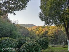 -南京市江宁方山