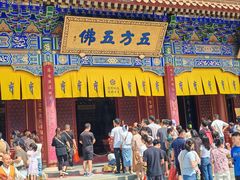 -西安大兴善寺