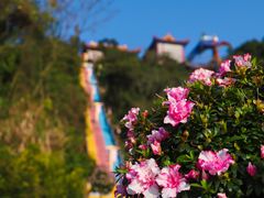 -东莞观音山旅游风景区