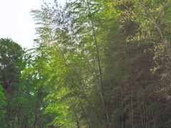 -同里国家湿地公园