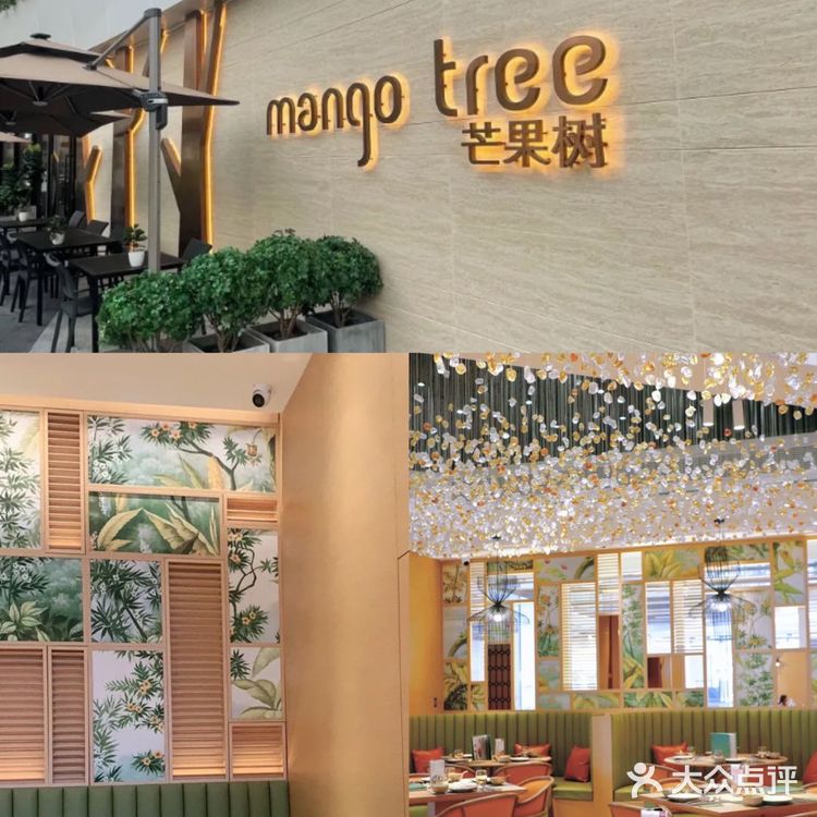 深圳美食|高颜值米其林泰餐店!好吃到哭