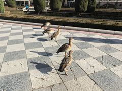 -丽池公园