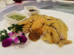 朱记竹地鸡-朱仔记食府(江南大道店)