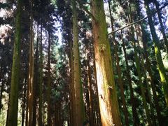 -娄山关景区