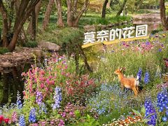 -上海共青森林公园