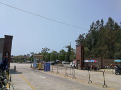 -广东惠东海龟国家级自然保护区