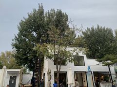 -小意思咖啡店(草桥店)