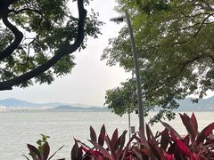 -ommo cafe(半岛城邦店)