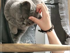 -平行世界·猫咖(首经贸店)