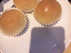-美食小镇·观赏珍稀鸟类·长隆熊猫酒店