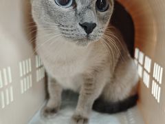 -中农大我爱我爱动物医院·核磁CT·猫病·24小时夜诊中心(石佛营店)