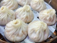 -莱莱小笼·乔艾