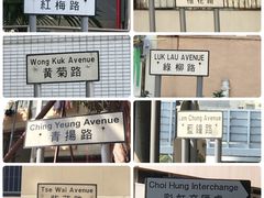 -彩虹村