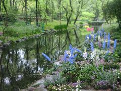 -上海共青森林公园