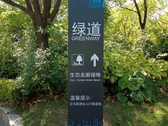 -新江湾城公园