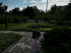 -玲珑塔公园