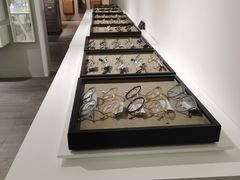 -目艮眼镜SHOWROOM(品牌集合店)