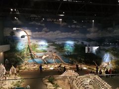 -自贡恐龙博物馆