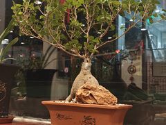 -西江美食舫·江西菜(健德桥店)