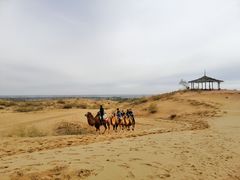 -黄沙古渡原生态旅游区
